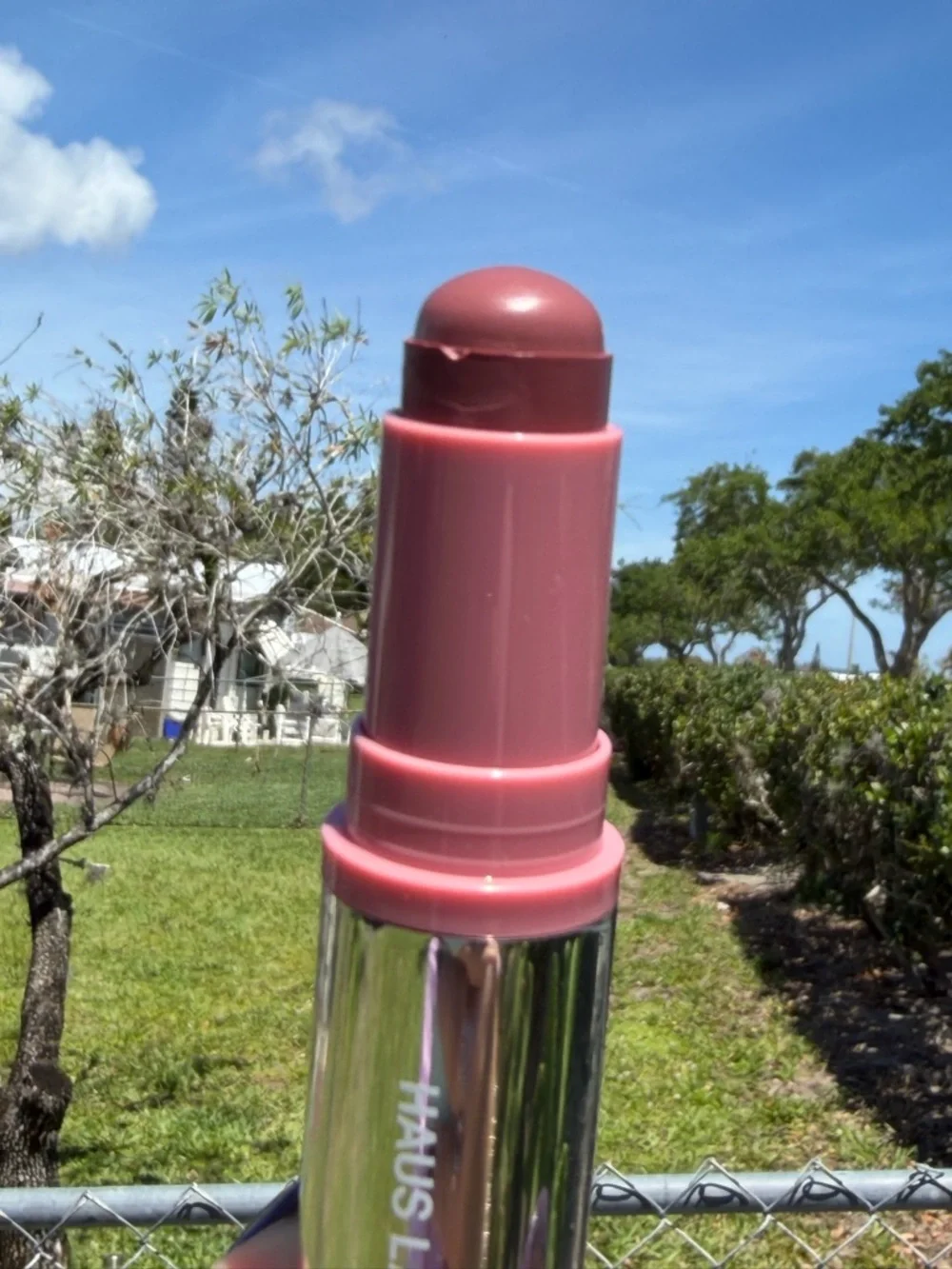 HAUS LABS By Lady Gaga Blush Balm Stick In Gassy Hibiscus (Deep Mauve)